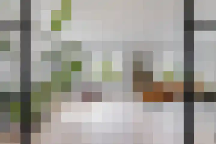 Laan van Broekhorn 78 Heerhugowaard thumbnail 16