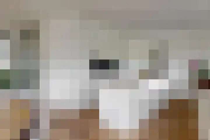 Laan van Broekhorn 78 Heerhugowaard thumbnail 18