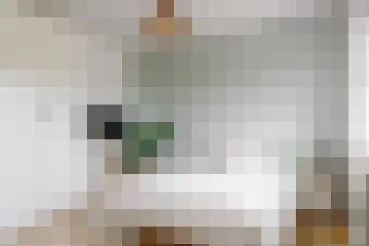 Laan van Broekhorn 78 Heerhugowaard thumbnail 32
