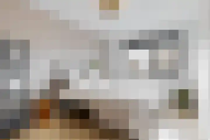 Laan van Broekhorn 78 Heerhugowaard thumbnail 37