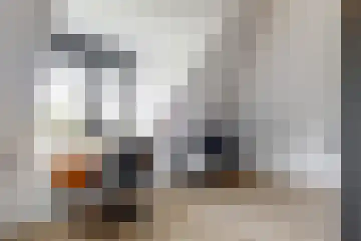 Laan van Broekhorn 78 Heerhugowaard thumbnail 51