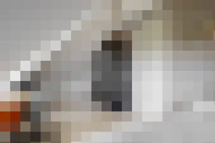 Laan van Broekhorn 78 Heerhugowaard thumbnail 52