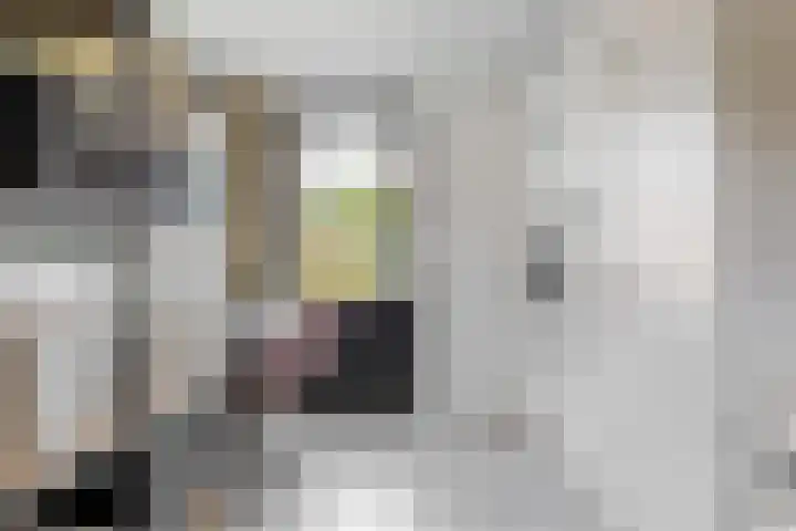 Laan van Broekhorn 78 Heerhugowaard thumbnail 54