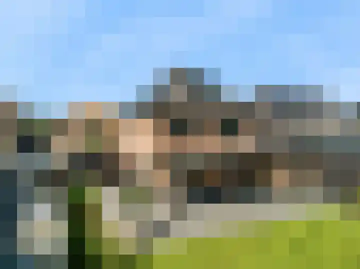 Laan van Broekhorn 78 Heerhugowaard thumbnail 58