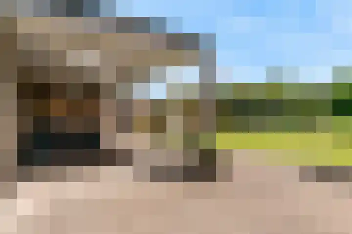 Laan van Broekhorn 78 Heerhugowaard thumbnail 63