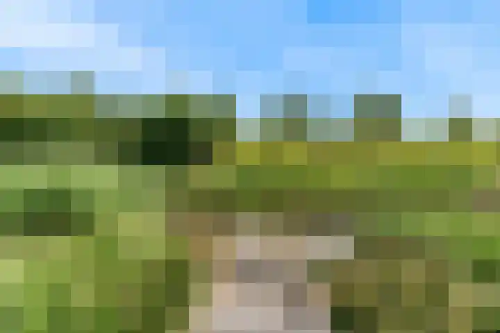 Laan van Broekhorn 78 Heerhugowaard thumbnail 68