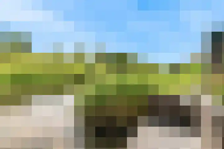 Laan van Broekhorn 78 Heerhugowaard thumbnail 69