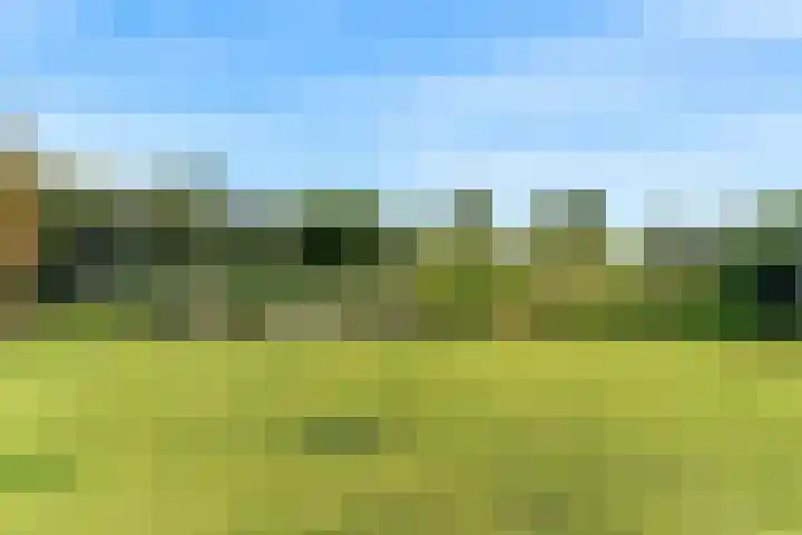 Laan van Broekhorn 78 Heerhugowaard thumbnail 71