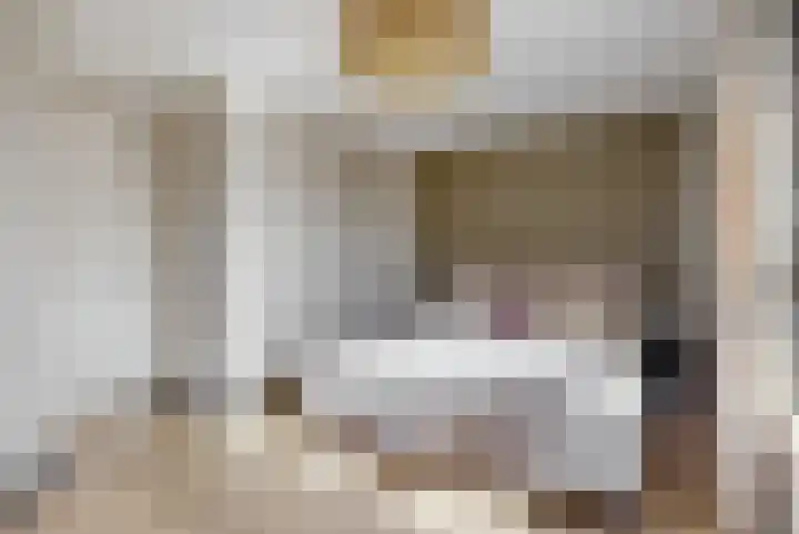 Laan van Broekhorn 81 Heerhugowaard thumbnail 15