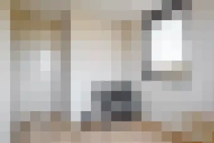 Laan van Broekhorn 81 Heerhugowaard thumbnail 18