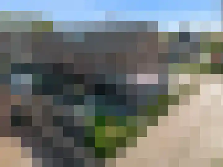 Laan van Broekhorn 81 Heerhugowaard thumbnail 30