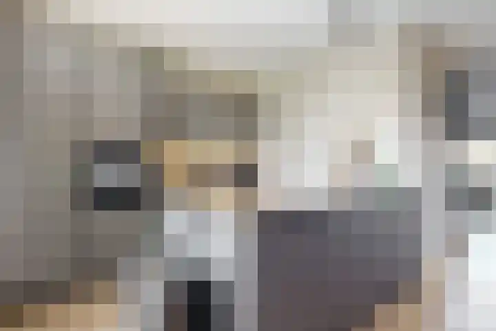 Laan van Broekhorn 81 Heerhugowaard thumbnail 4