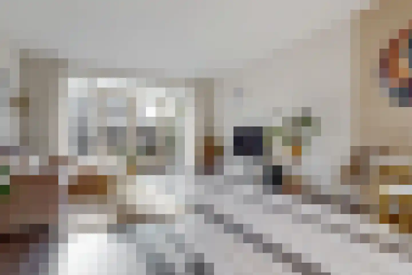 Laan van Broekpolder 106 Beverwijk thumbnail 10
