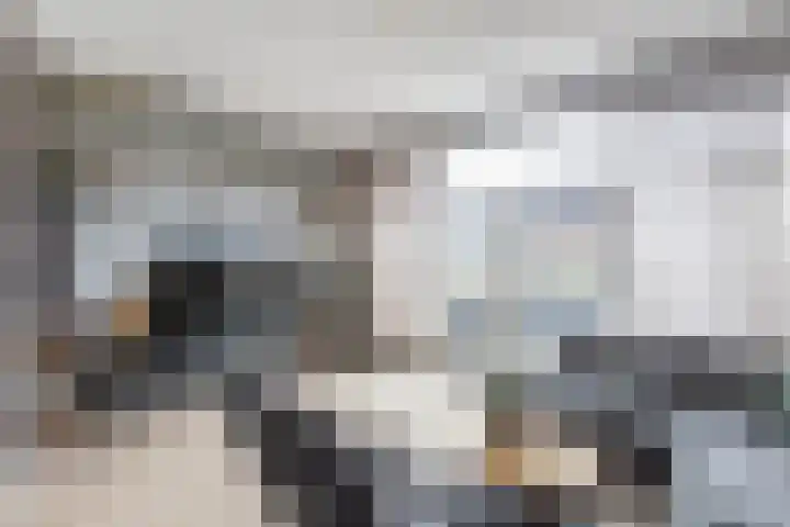 Laan van Broekpolder 118 Beverwijk thumbnail 11