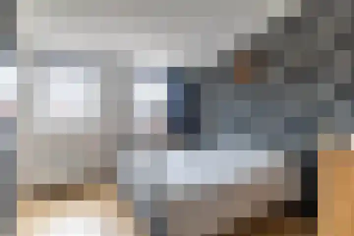 Laan van Broekpolder 118 Beverwijk thumbnail 19