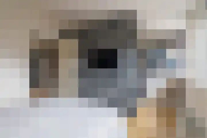 Laan van Broekpolder 118 Beverwijk thumbnail 20