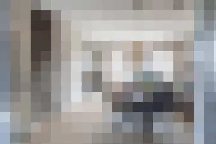 Laan van Broekpolder 118 Beverwijk thumbnail 4