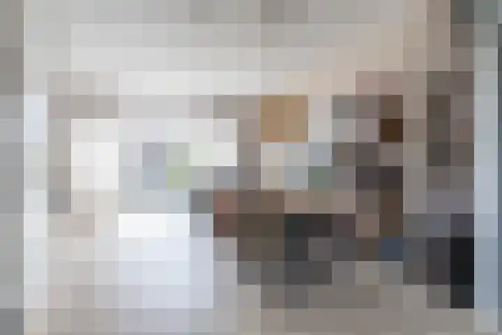 Laan van Broekpolder 118 Beverwijk thumbnail 5