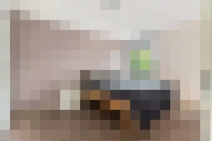 Laan van Broekpolder 212 Beverwijk thumbnail 23