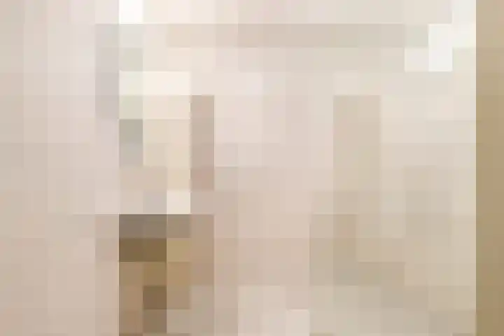 Laan van Broekpolder 212 Beverwijk thumbnail 30