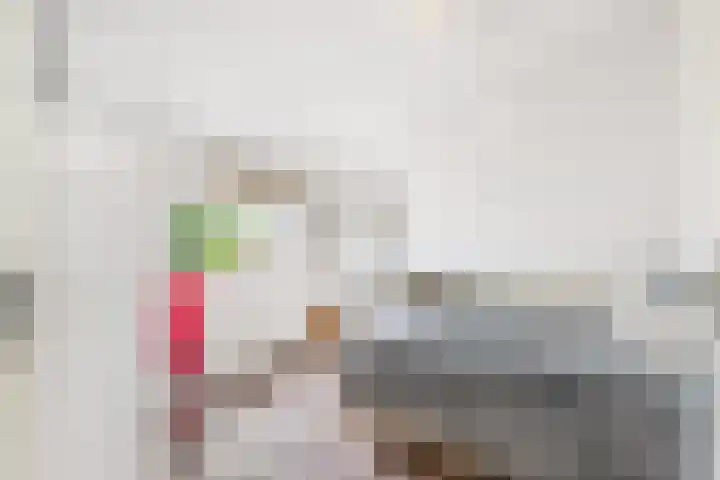 Laan van Broekpolder 212 Beverwijk thumbnail 33