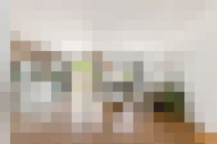 Laan van Broekpolder 212 Beverwijk thumbnail 4