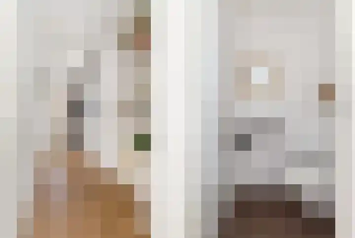 Laan van Broekpolder 212 Beverwijk thumbnail 7