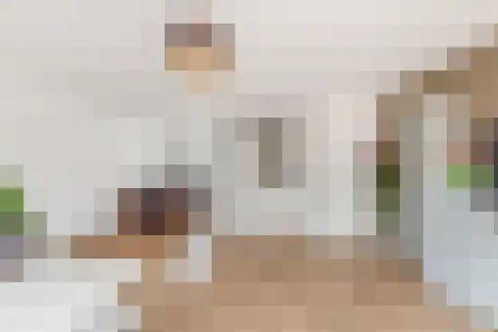 Laan van Broekpolder 212 Beverwijk thumbnail 8