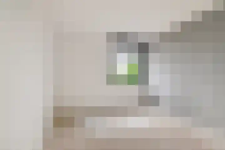 Laan van Broekpolder 238 Beverwijk thumbnail 12