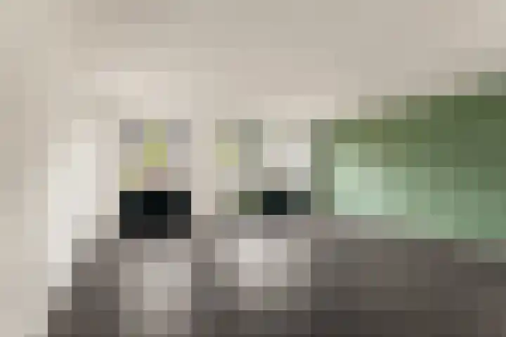 Laan van Broekpolder 238 Beverwijk thumbnail 5