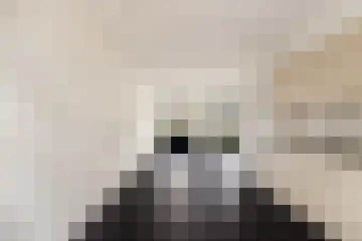 Laan van Broekpolder 238 Beverwijk thumbnail 9