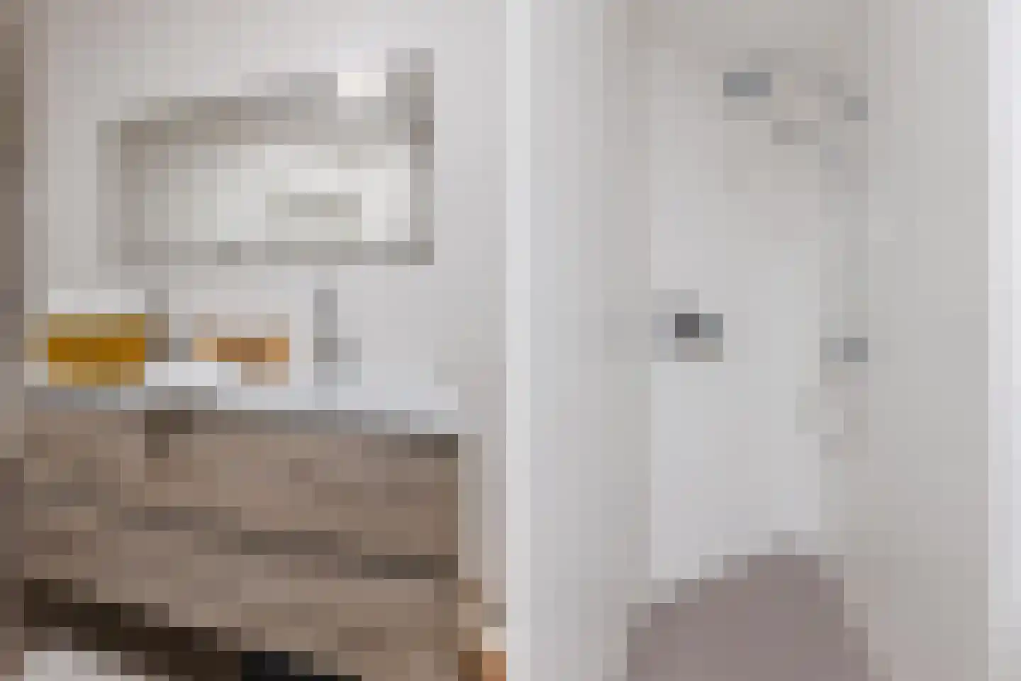 Laan van Broekpolder 314 Heemskerk thumbnail 32