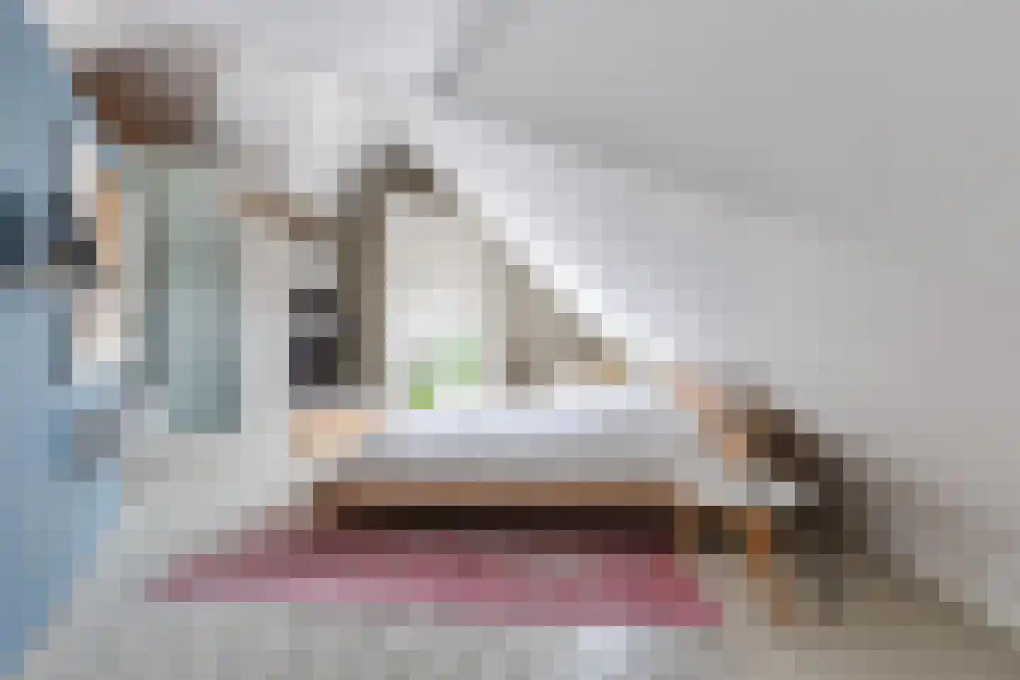 Laan van Broekpolder 314 Heemskerk thumbnail 34