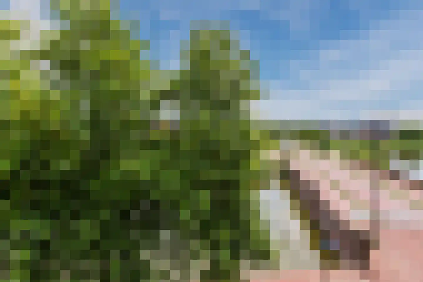 Laan van Broekpolder 314 Heemskerk thumbnail 60