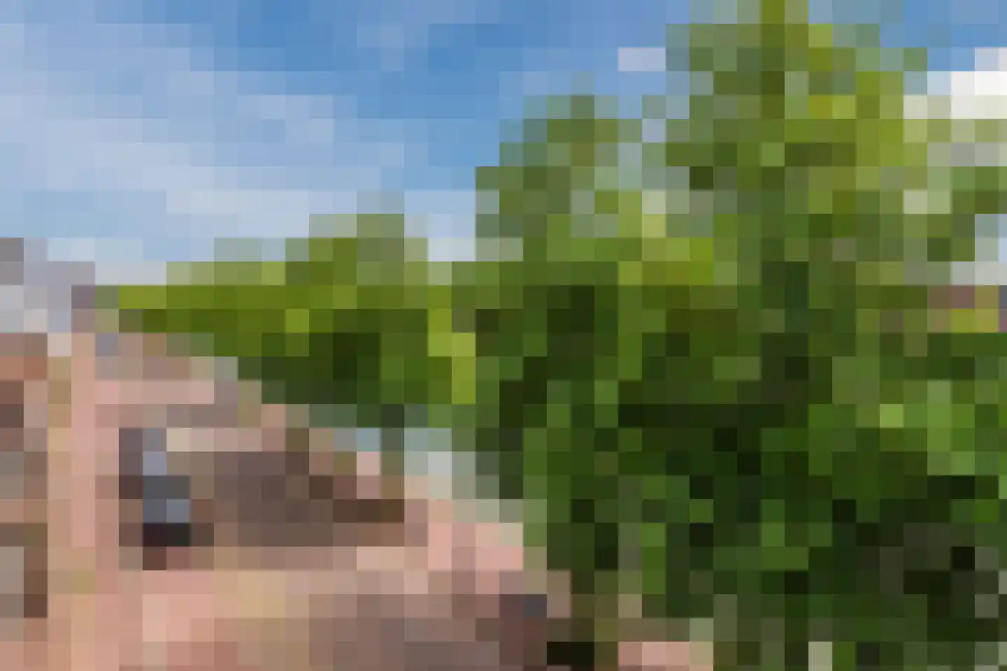 Laan van Broekpolder 314 Heemskerk thumbnail 61