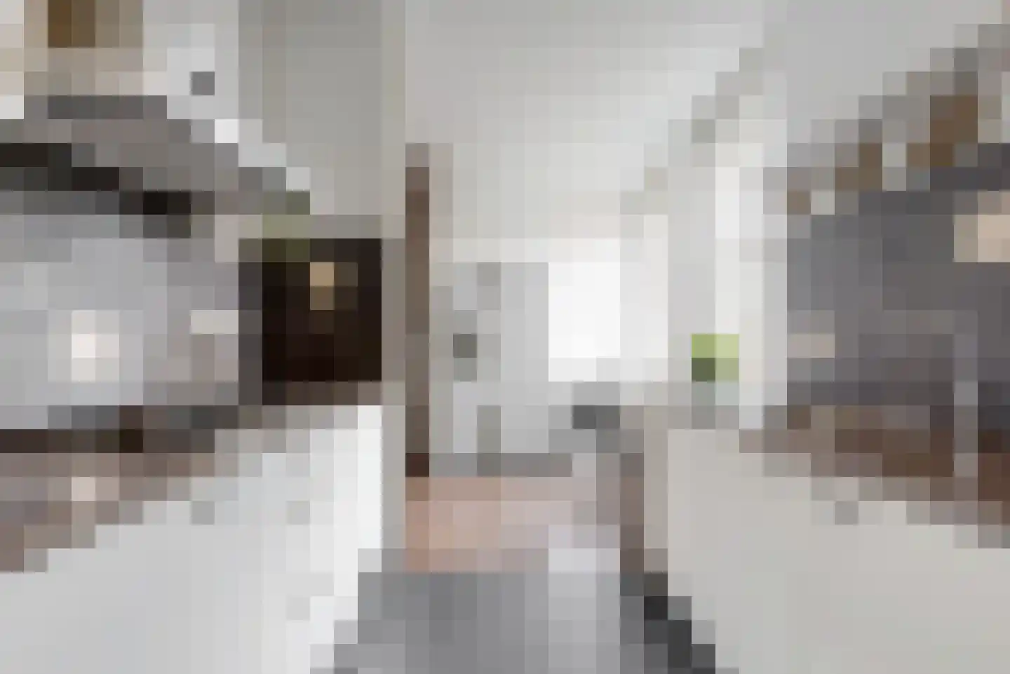 Laan van Broekpolder 344 Heemskerk thumbnail 11