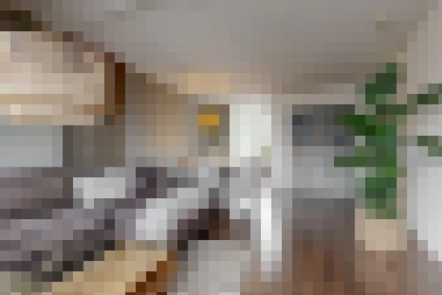 Laan van Broekpolder 344 Heemskerk thumbnail 7