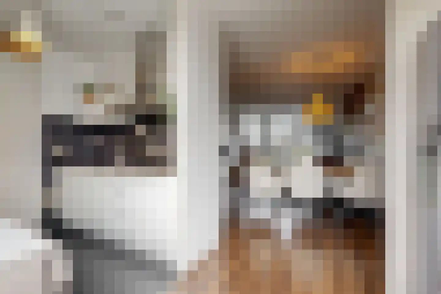 Laan van Broekpolder 344 Heemskerk thumbnail 9