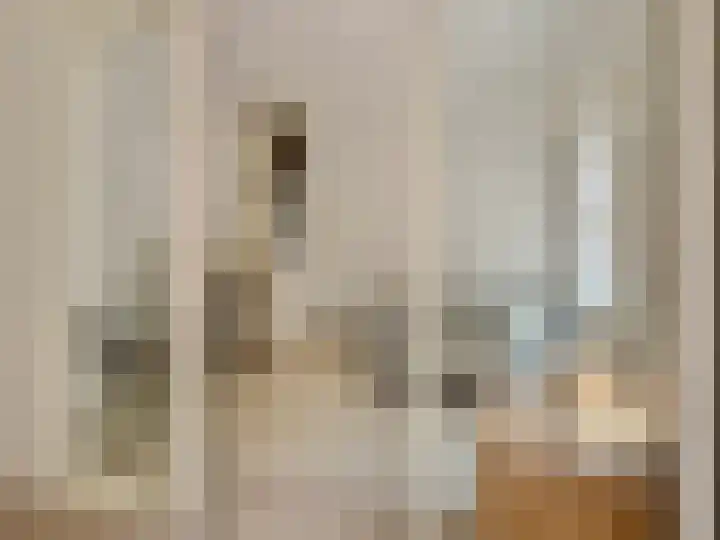 Laan van Broekpolder 364 A Heemskerk thumbnail 10