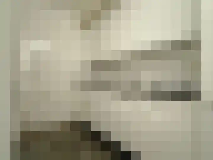 Laan van Broekpolder 364 A Heemskerk thumbnail 12