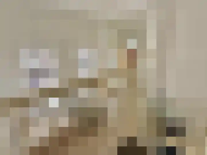 Laan van Broekpolder 364 A Heemskerk thumbnail 15