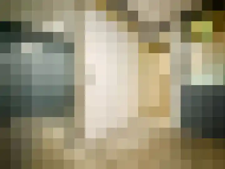 Laan van Broekpolder 364 A Heemskerk thumbnail 17