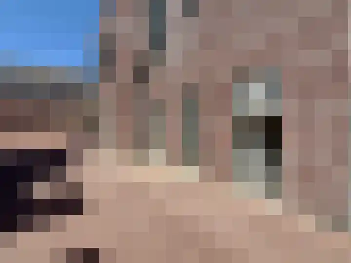 Laan van Broekpolder 364 A Heemskerk thumbnail 19