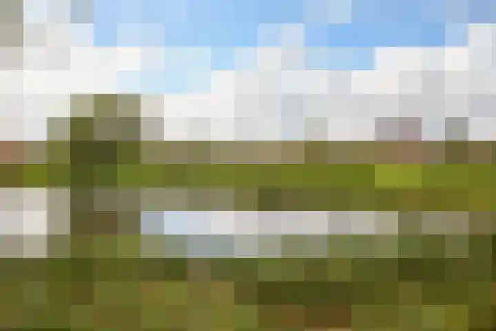 Laan van Broekpolder 364 A Heemskerk thumbnail 22