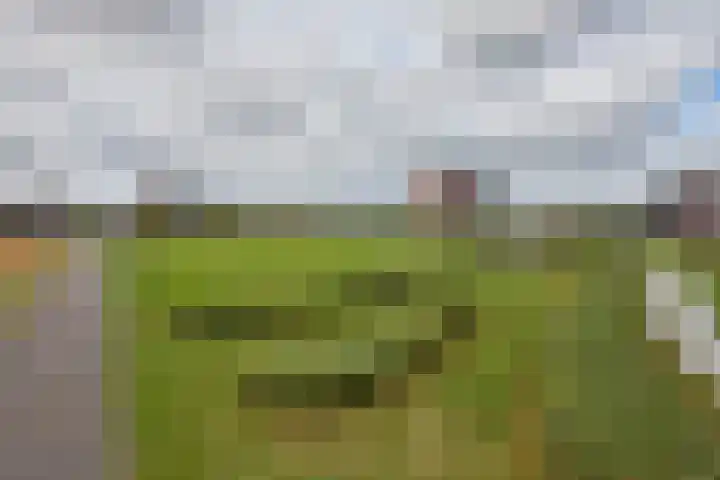 Laan van Broekpolder 364 A Heemskerk thumbnail 23