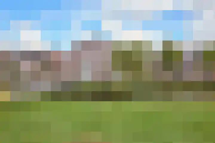 Laan van Broekpolder 364 A Heemskerk thumbnail 24