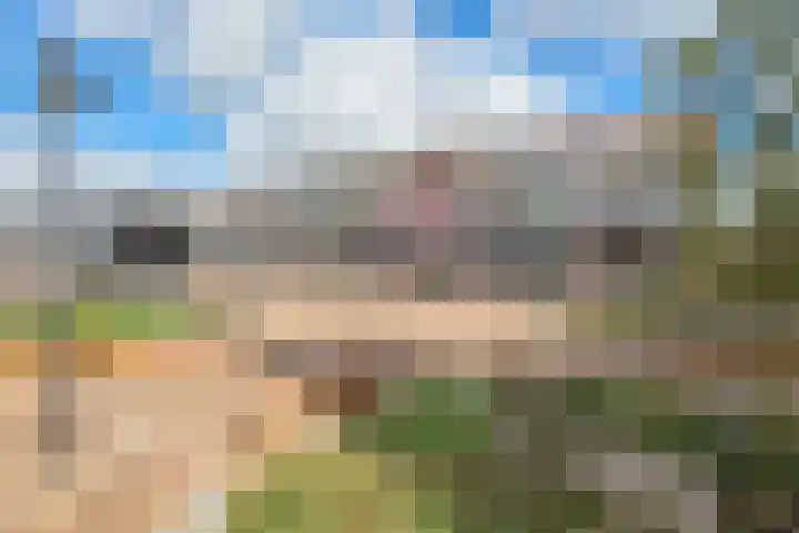 Laan van Broekpolder 364 A Heemskerk thumbnail 25