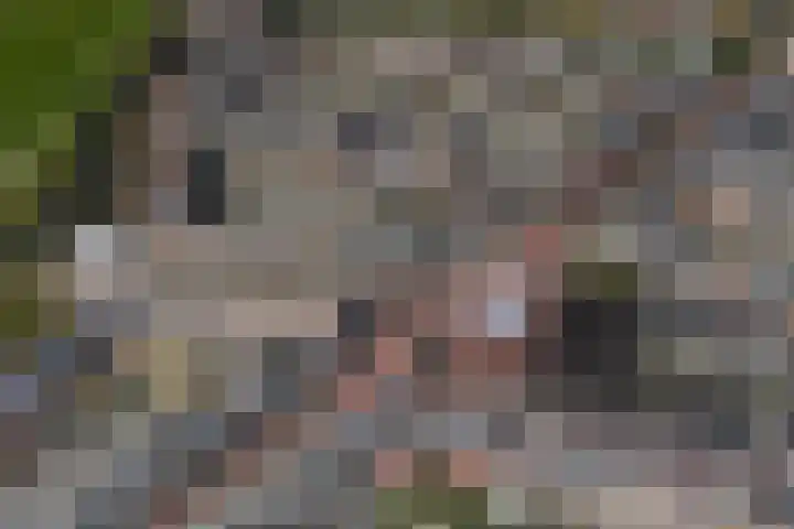 Laan van Broekpolder 364 A Heemskerk thumbnail 26