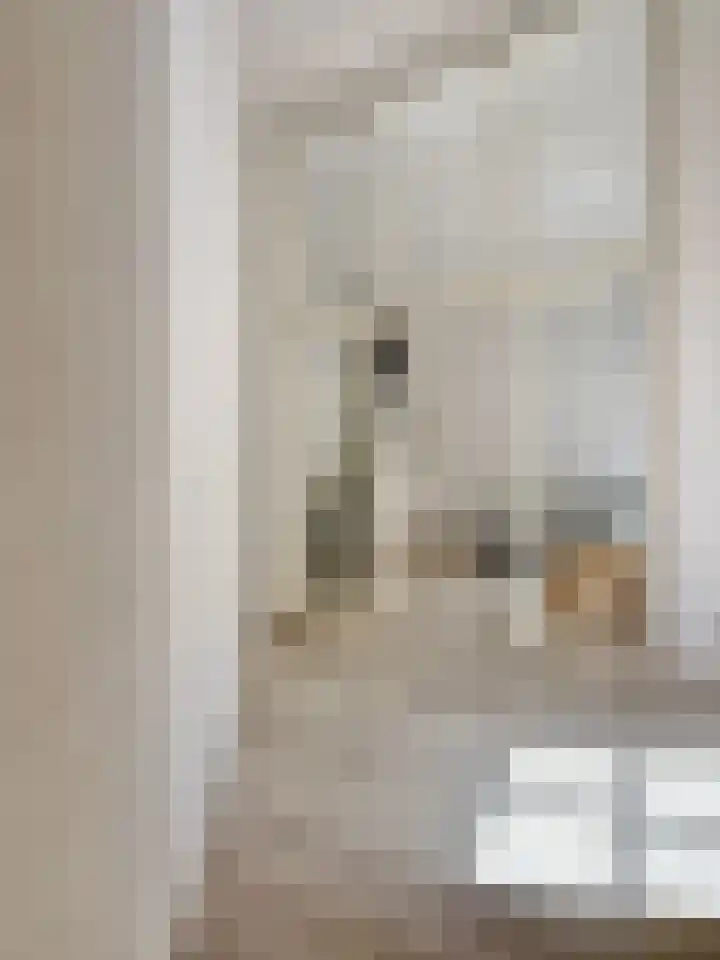 Laan van Broekpolder 364 A Heemskerk thumbnail 6