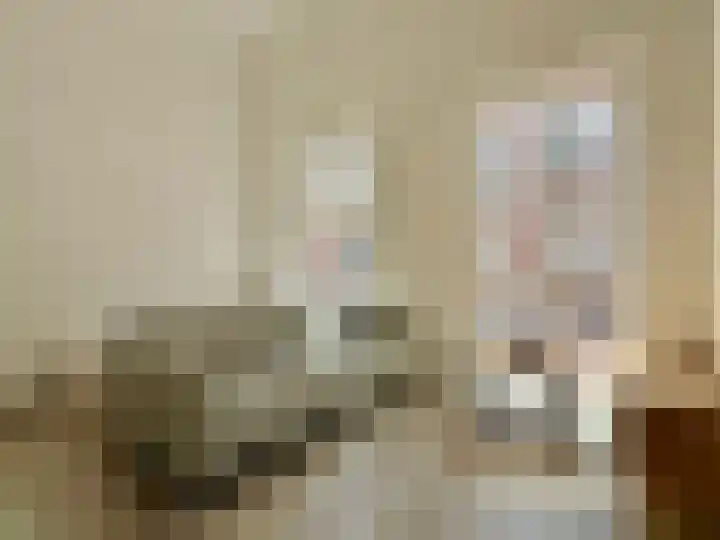 Laan van Broekpolder 364 A Heemskerk thumbnail 8